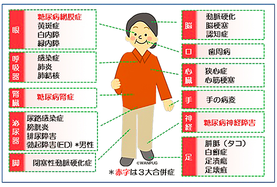 図②